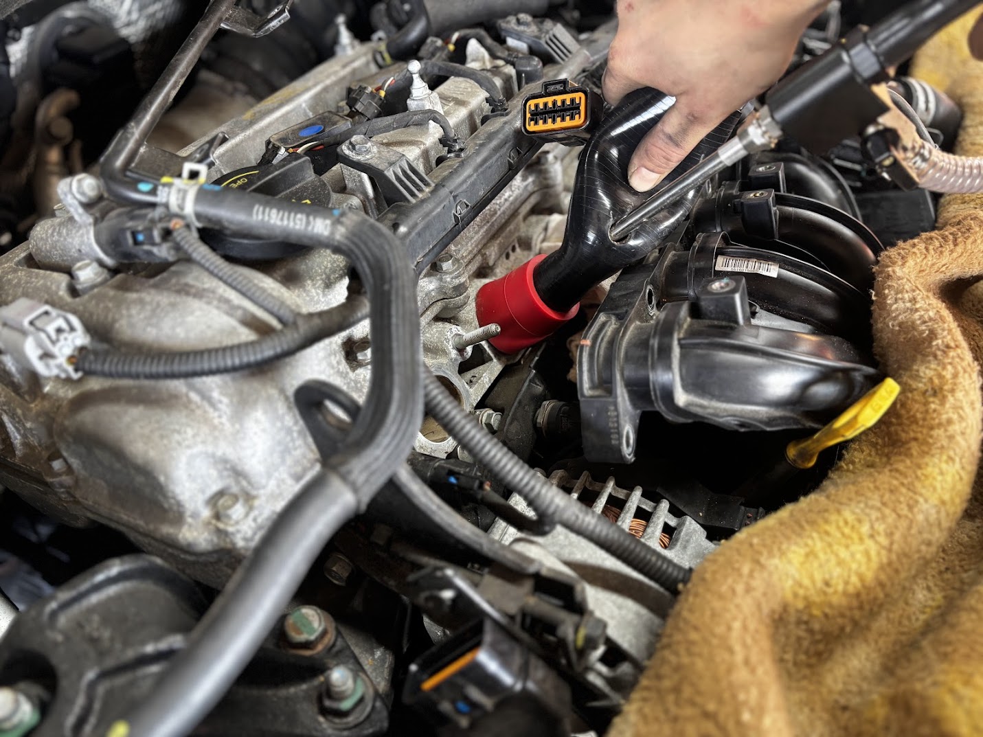 dióhéjas szívósor tisztítás nyíregyházán